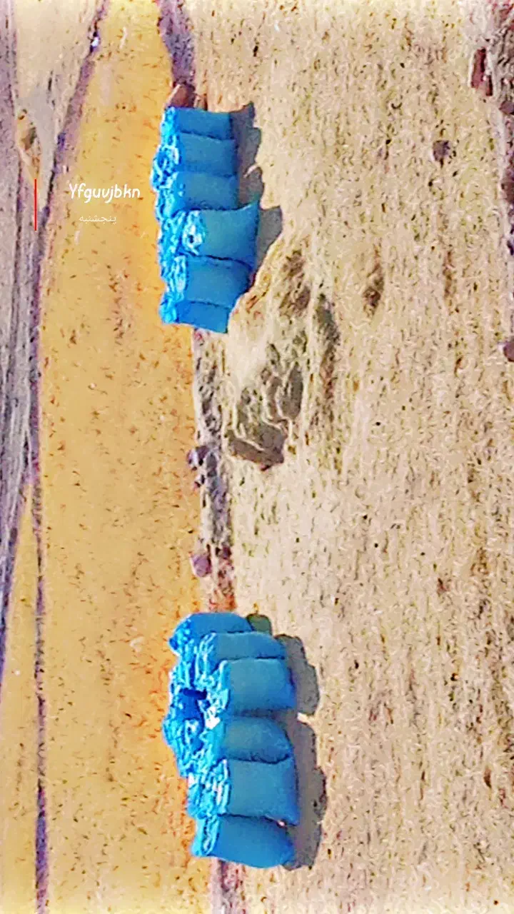 کاه برنج|لوازم جانبی حیوانات|یاسوج, |دیوار