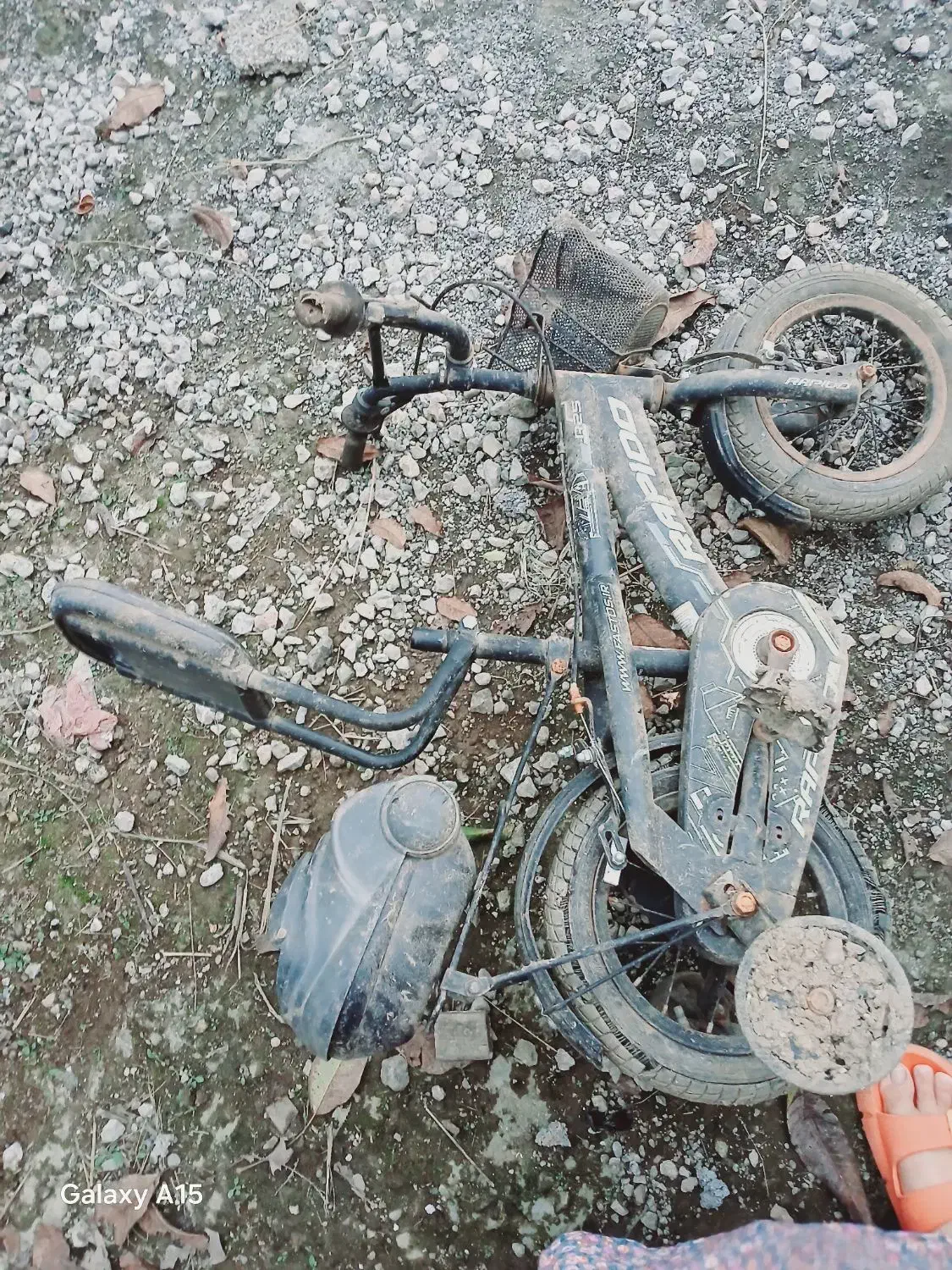 دوچرخه|دوچرخه، اسکیت، اسکوتر|ماسال, |دیوار