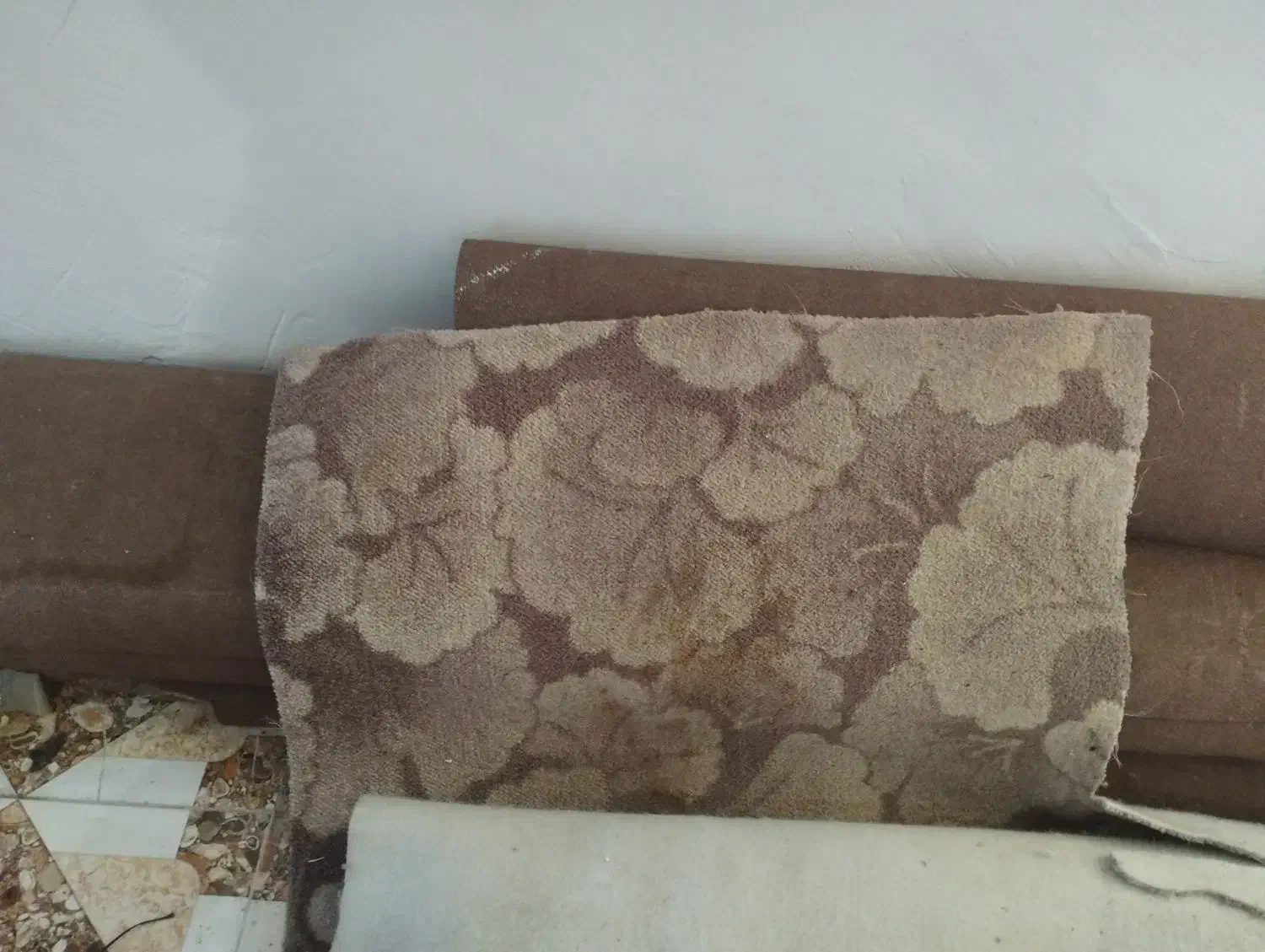 4 عدد موکت|موکت|بندر دیر, |دیوار