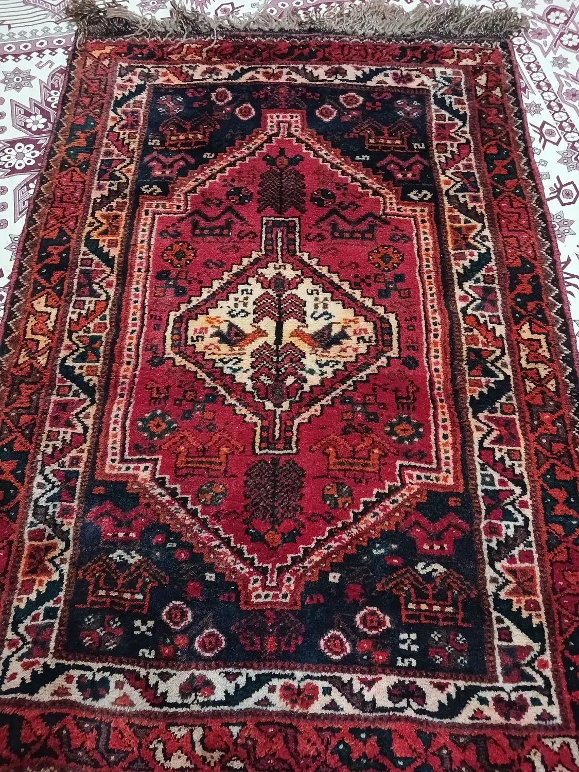 قالیچه دستباف سنتی|فرش|کرمان, |دیوار