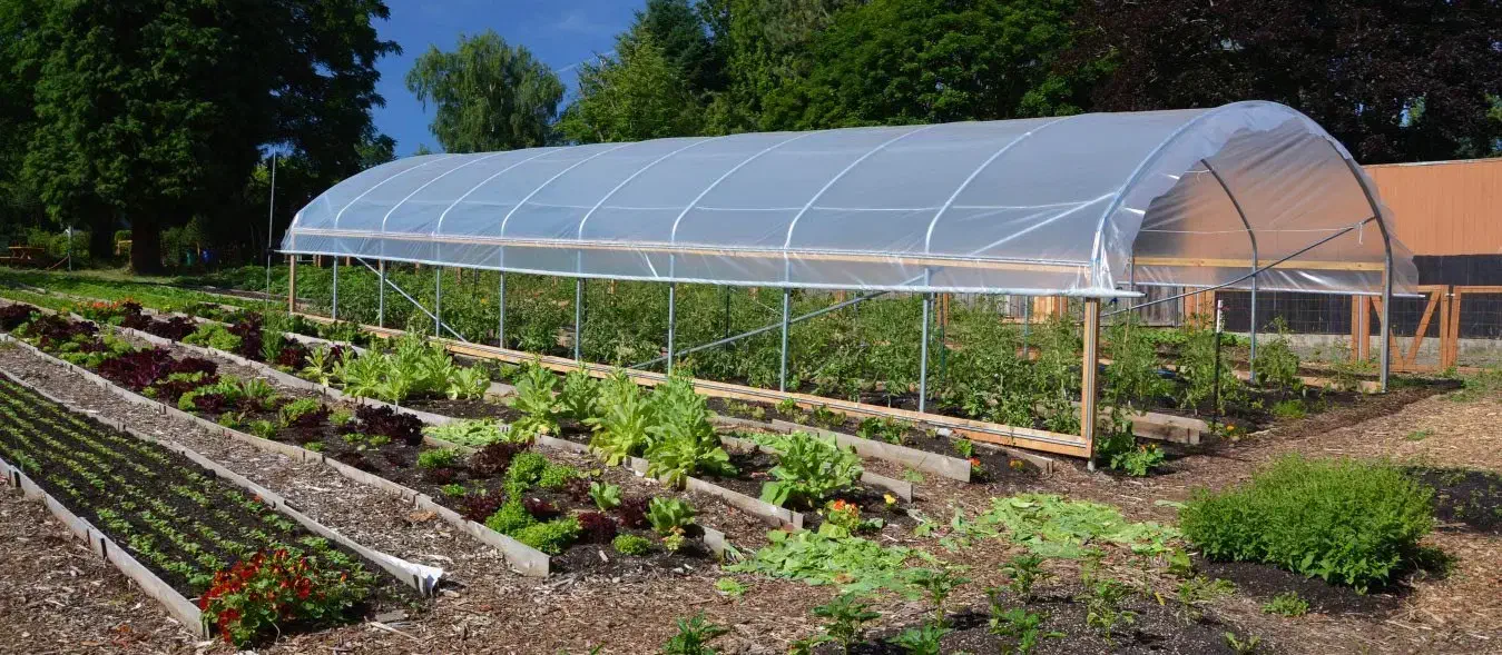 گلخانه|فروش دفتر صنعتی، کشاورزی، تجاری|شاندیز, |دیوار