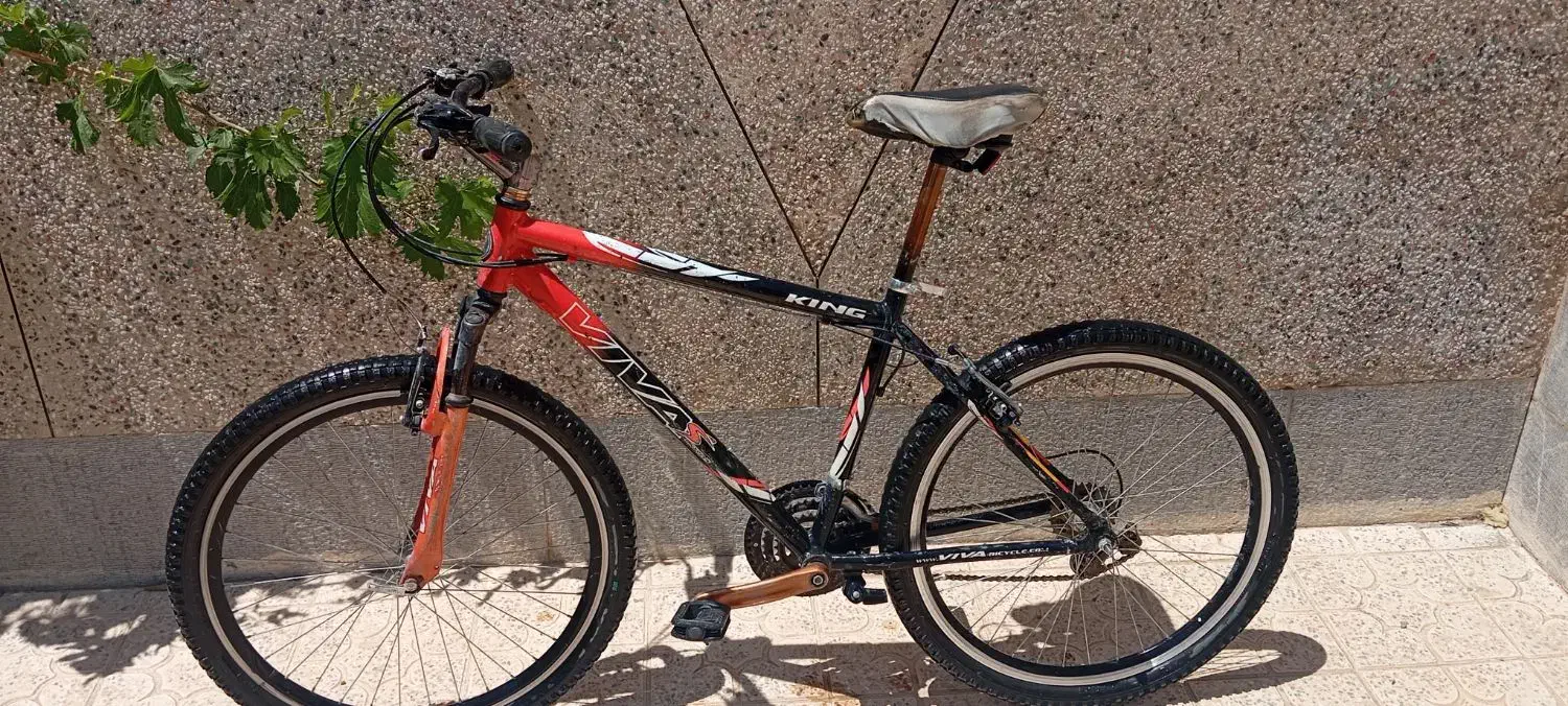 دوچرخه ویوا اصل تایوان|دوچرخه، اسکیت، اسکوتر|داران, |دیوار