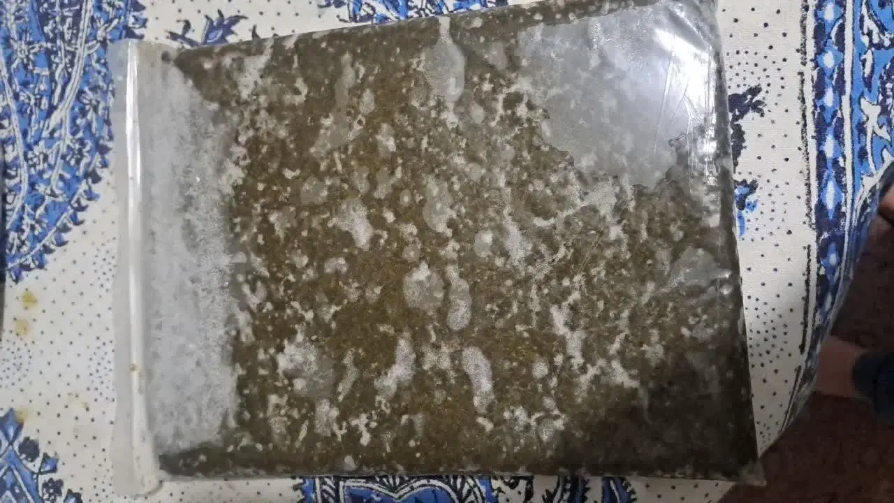 نانو|مواد شوینده و دستمال کاغذی|اصفهان, هفتون|دیوار