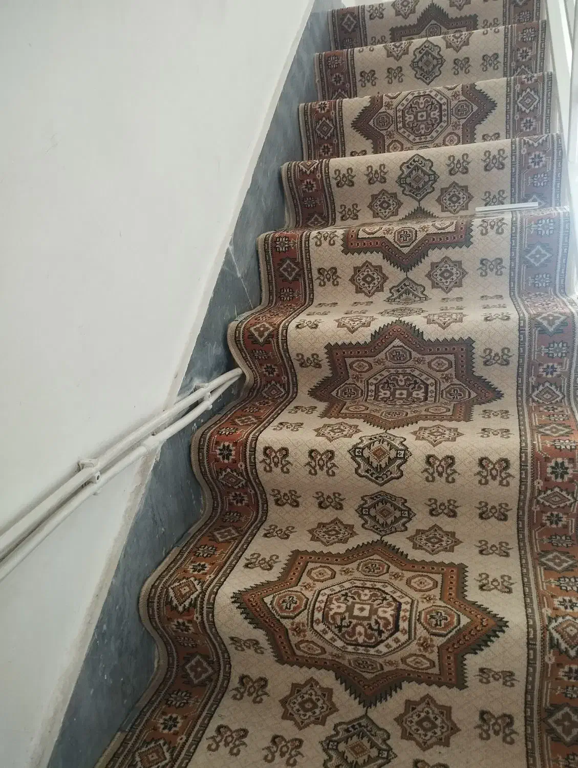 گلیم فرش|گلیم، جاجیم، گبه|تاکستان, |دیوار