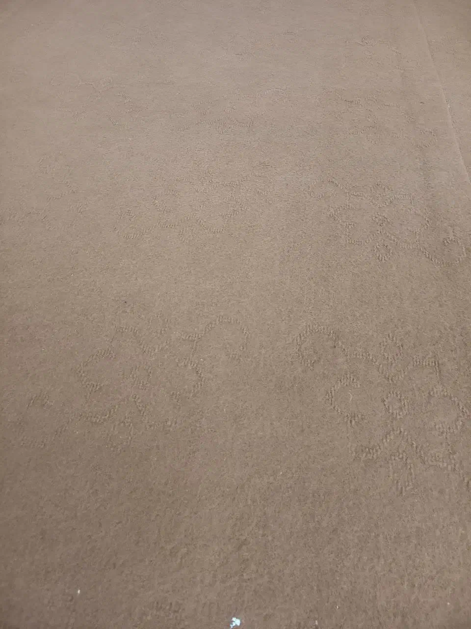 موکت|موکت|تربت‌حیدریه, شهرک ولیعصر|دیوار