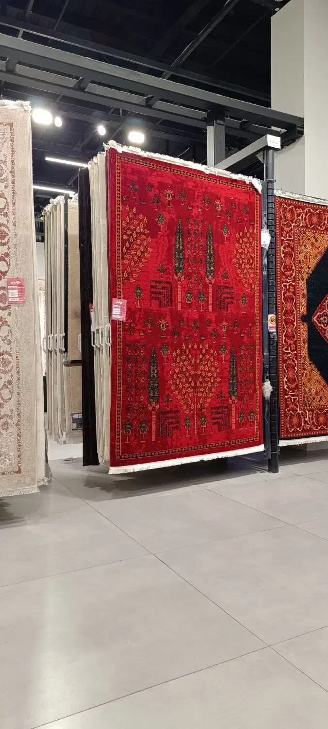 فرش لاکی نو قالی سلیمان|فرش|فردیس, طالقانی|دیوار