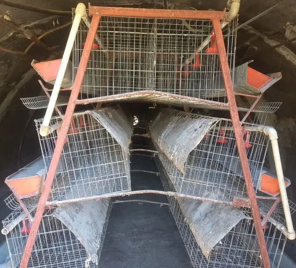 لوازم مرغداری هواکش آسیاب میکسر جت هیتر|ماشین‌آلات صنعتی|دیواندره, |دیوار