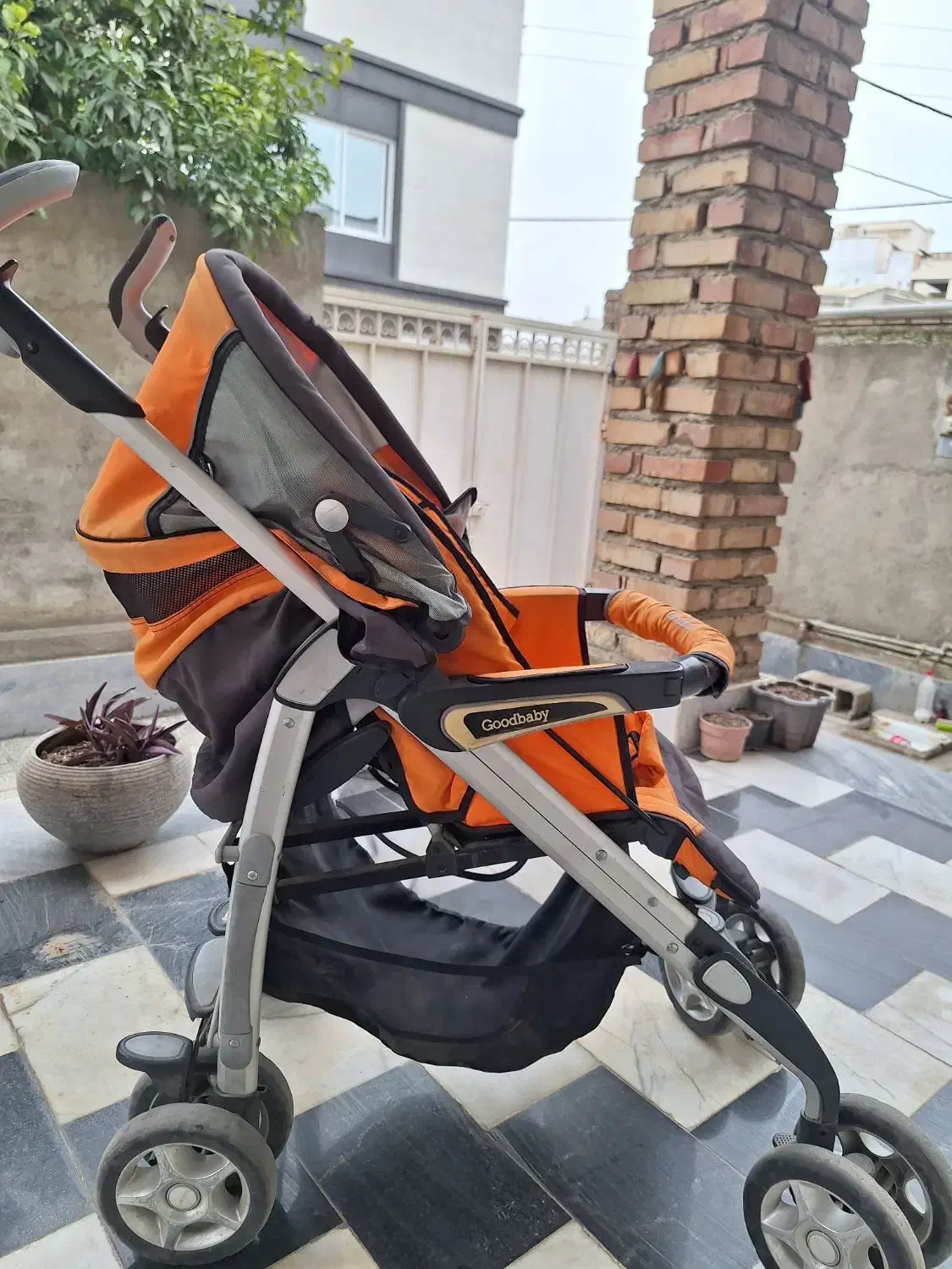 کالسکه|کالسکه و لوازم جانبی|گنبد کاووس, |دیوار