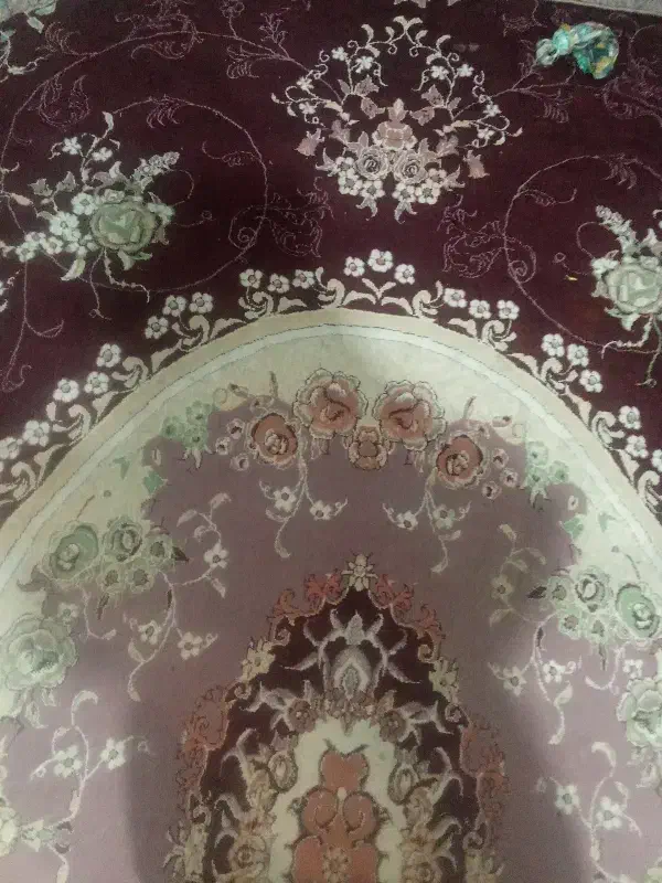 فرش و موکت|فرش|سراوان, |دیوار