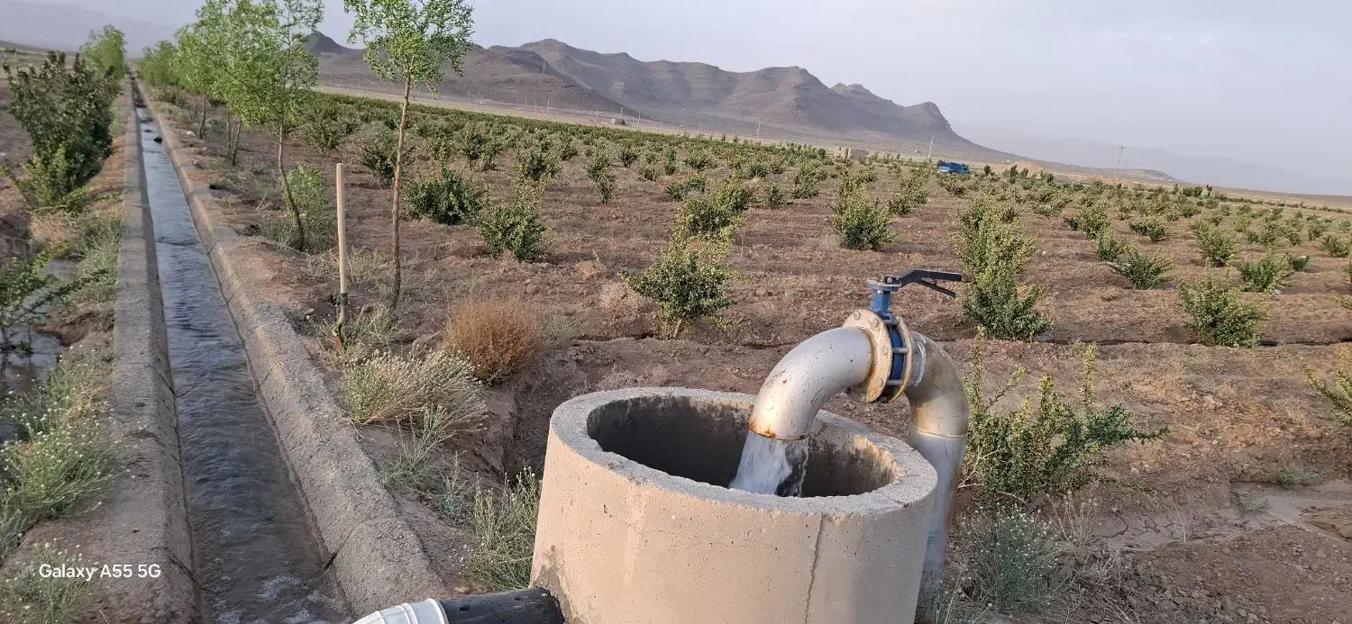 زمین  کشاورزی  طاقسکی سربیشه(سه راهی  پخت)|فروش زمین و ملک کلنگی|مود, |دیوار