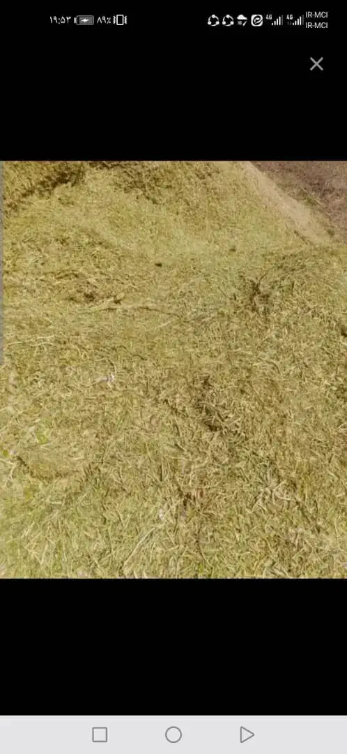 کاه|لوازم جانبی حیوانات|یاسوج, |دیوار