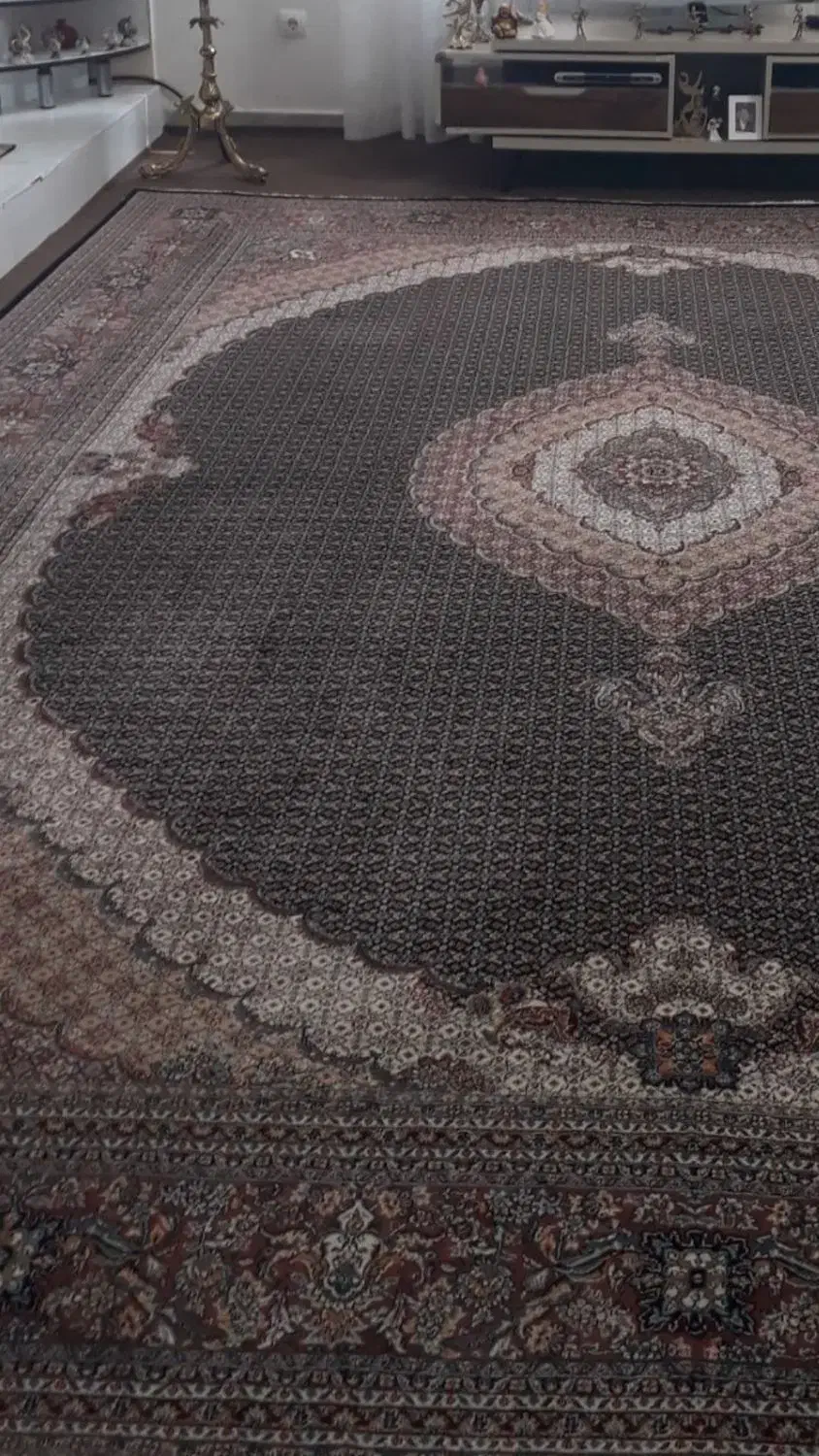 فرش ۱۲متری یک عدد هست|فرش|اردبیل, |دیوار