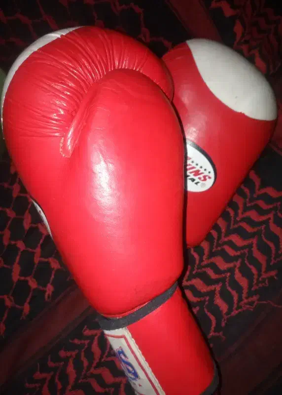 دستکش کیک بکس و مویتای تووینز اسپیشال|تجهیزات ورزشی|بندرعباس, |دیوار