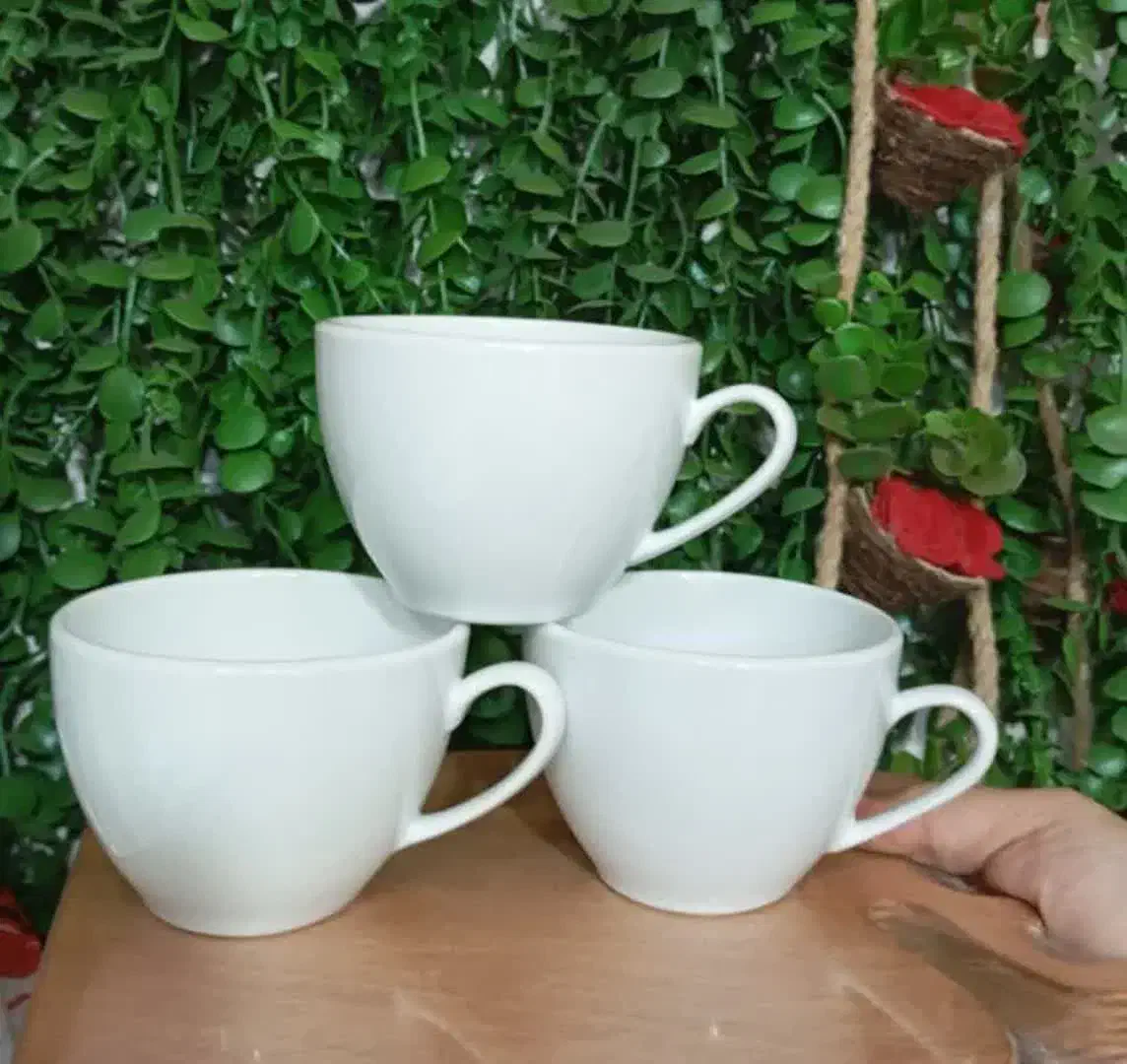 فنجان چینی سفید هتلی|ظروف سرو و پذیرایی|مشهد, نوید|دیوار