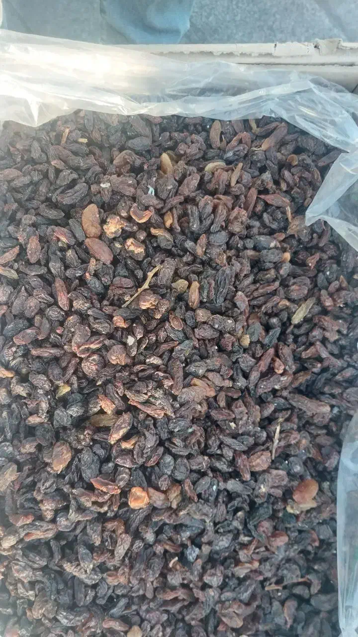 کشمش افتابی درجه ۱|خوردنی و آشامیدنی|یزد, |دیوار