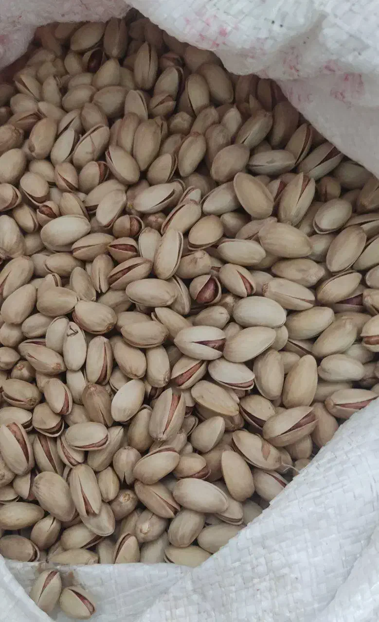 خوراکی|خوردنی و آشامیدنی|یامچی, |دیوار