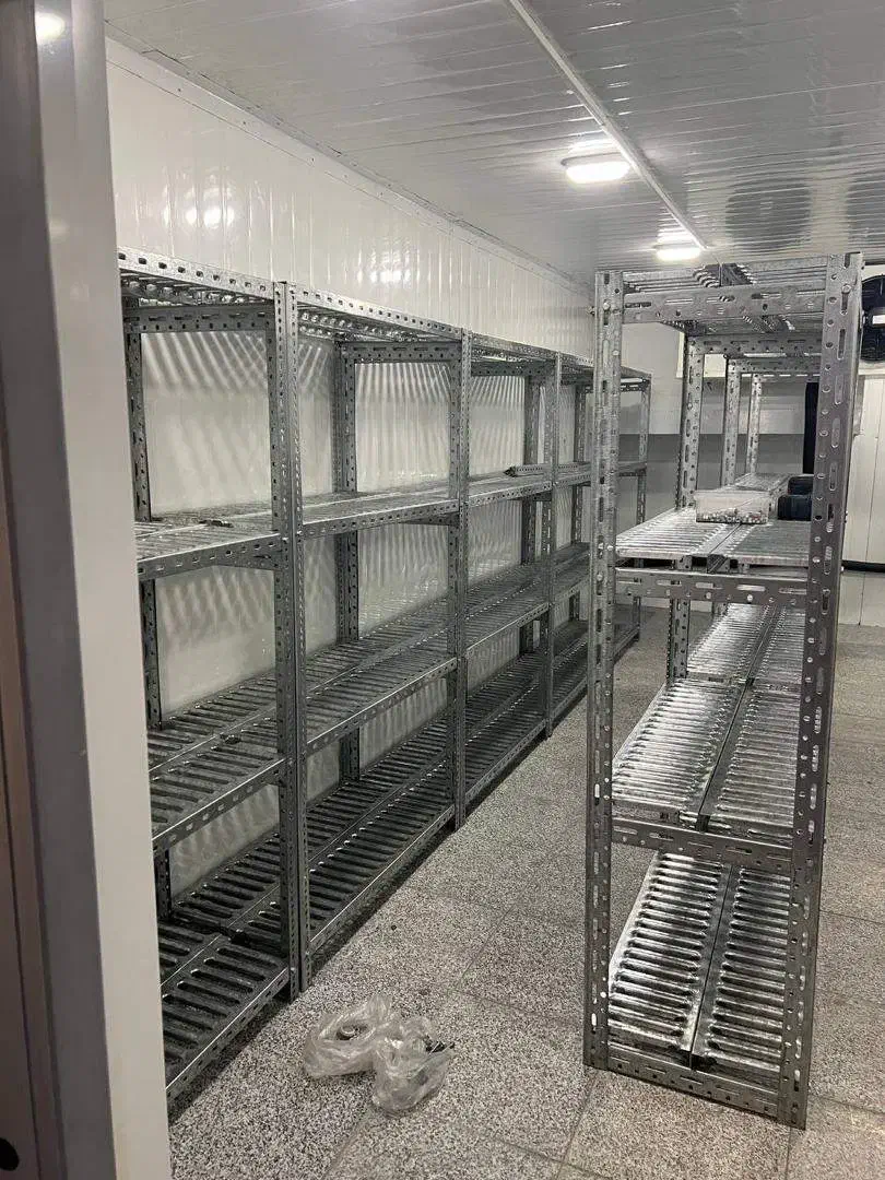 قفسه سردخانه مستحکم|فروشگاه و مغازه|کرج, جهانشهر|دیوار