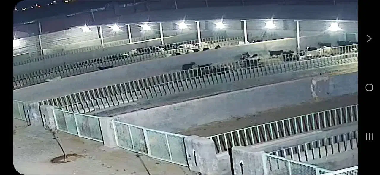 رهن و اجاره مجتمع پرورش دام استان اصفهان بادرود|اجارهٔ دفتر صنعتی، کشاورزی، تجاری|بادرود, |دیوار