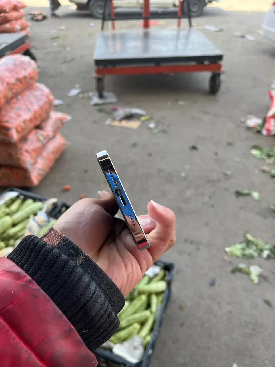 14 pro max 256|موبایل|قم, شهرک سازمان آب|دیوار