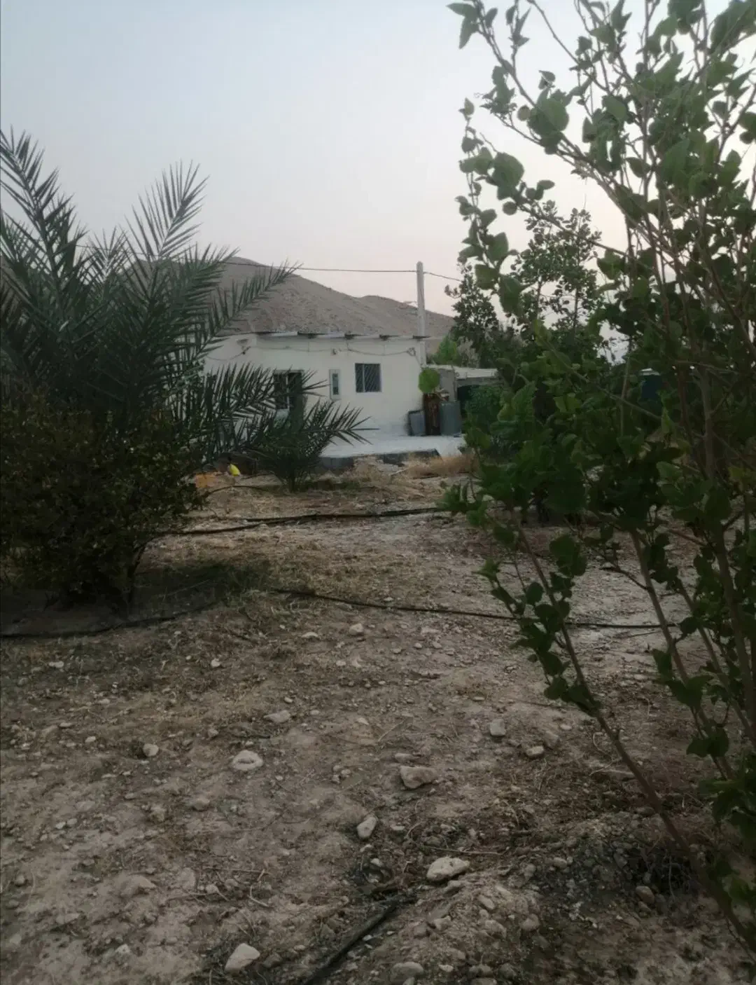 باغ شهری حسن لری 1000 متری قابل معاوضه|فروش زمین و ملک کلنگی|لار, |دیوار