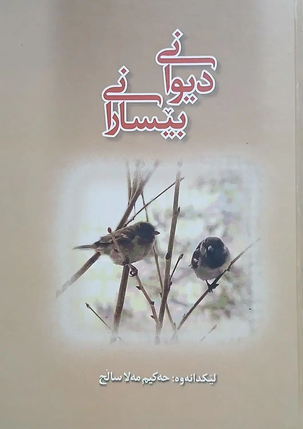 کتاب دیوانی بیسارانی|کتاب و مجله ادبی|سنندج, |دیوار