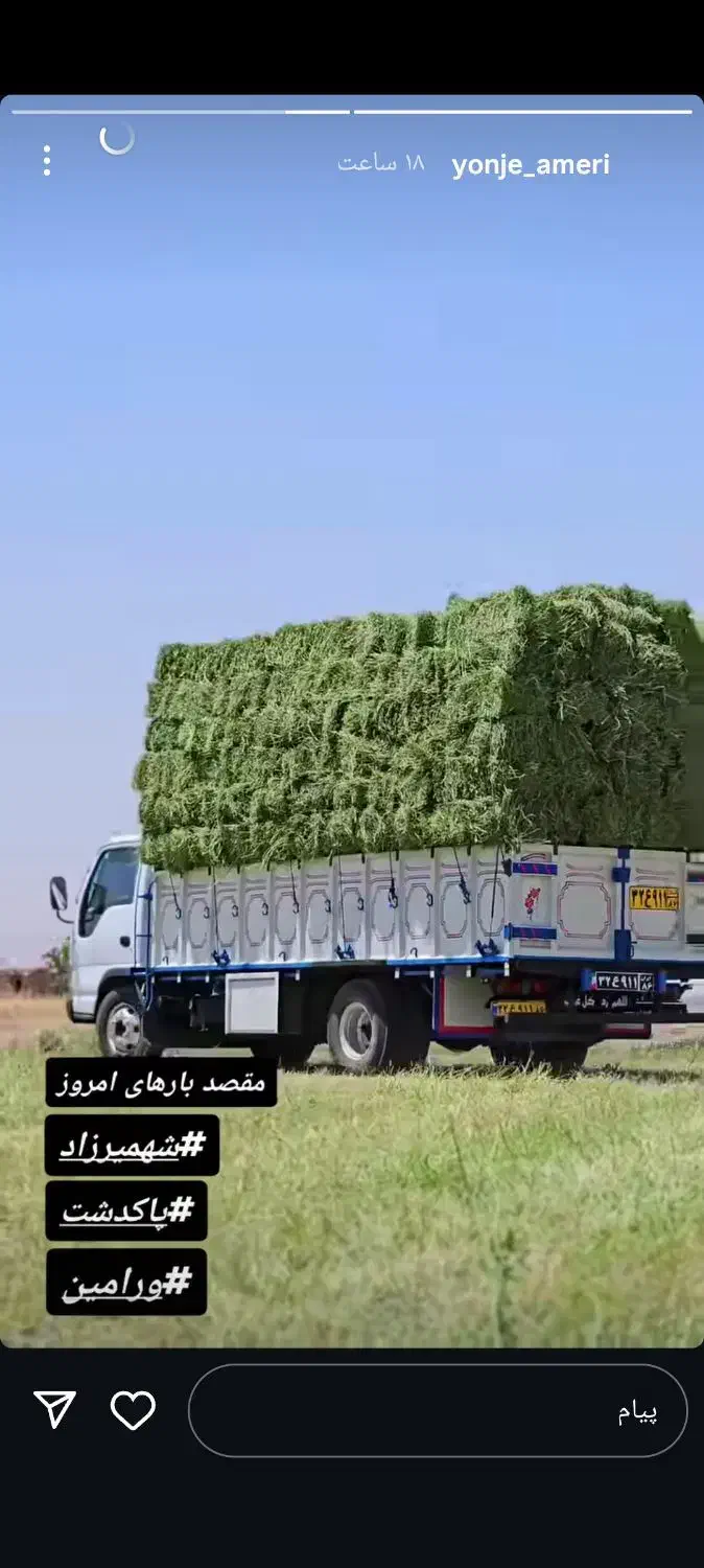 علوفه یونجه|حیوانات مزرعه|شهرکرد, |دیوار