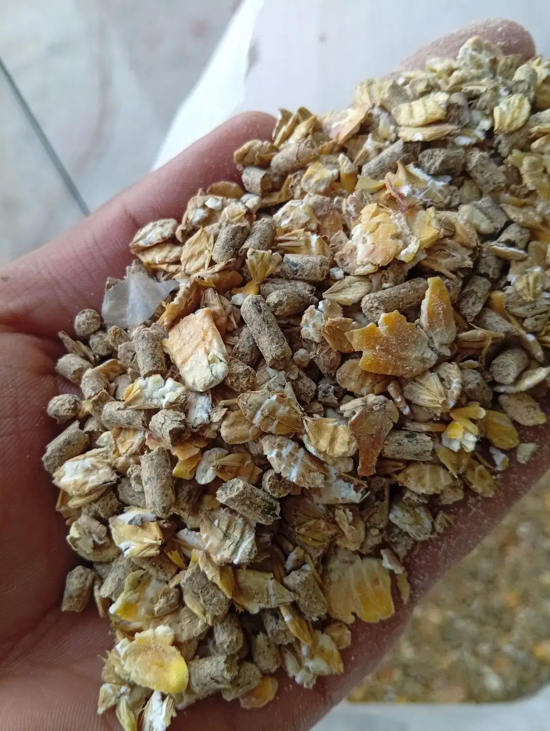 خرید وفروش خوراک دام و طیور|عمده‌فروشی|تربت جام, علوی|دیوار