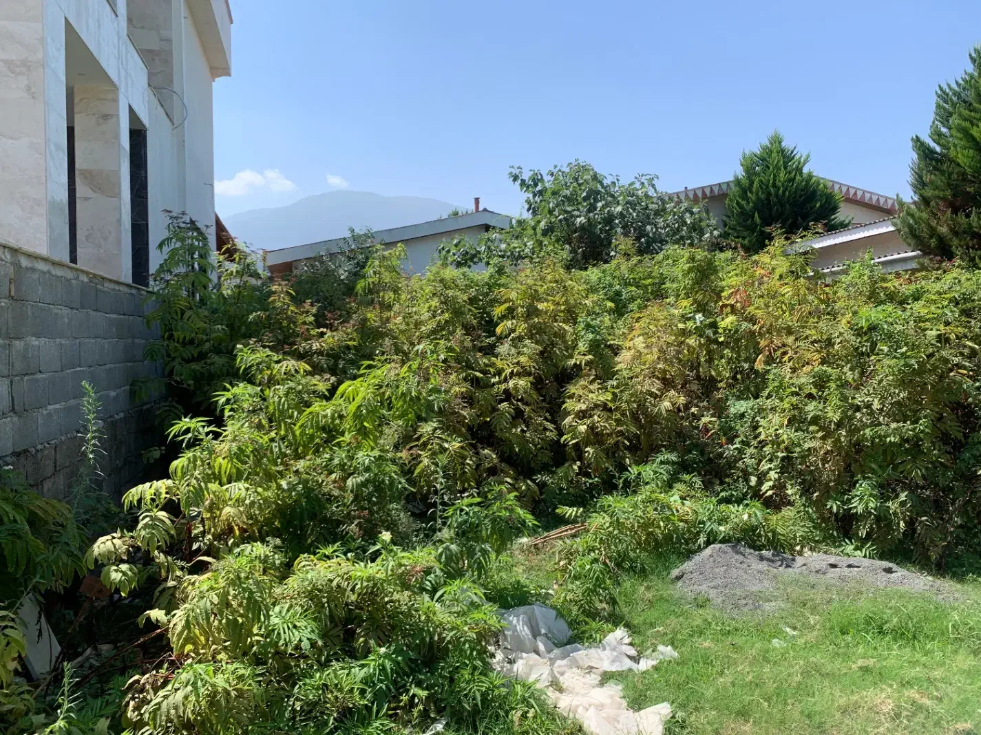 ۲۵۰ متل قو دریاگوشه شهرک دانیال (نیروی انتظامی)|فروش زمین و ملک کلنگی|سلمان‌شهر, |دیوار