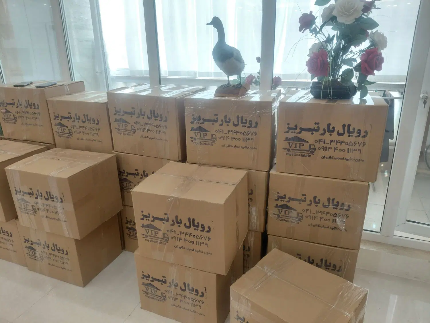 شرکت باربری حمل ونقل رویال بار تبریز(بسته بندیvip)|خدمات حمل و نقل|تبریز, |دیوار