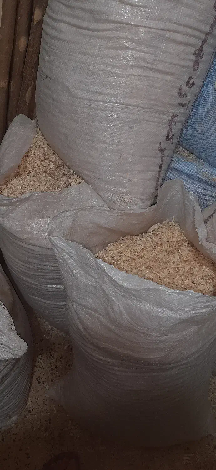 پوشال|لوازم جانبی حیوانات|اهواز, حصیرآباد|دیوار