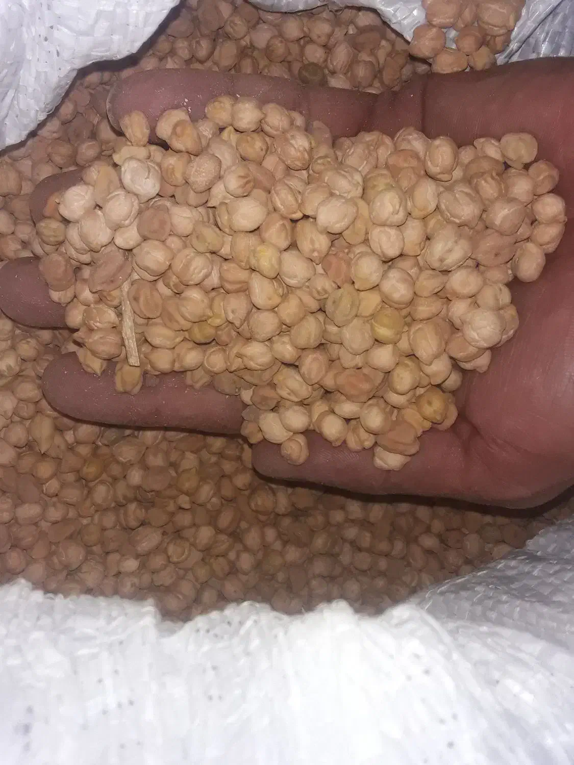 نخود|عمدهفروشی|خاوه, |دیوار