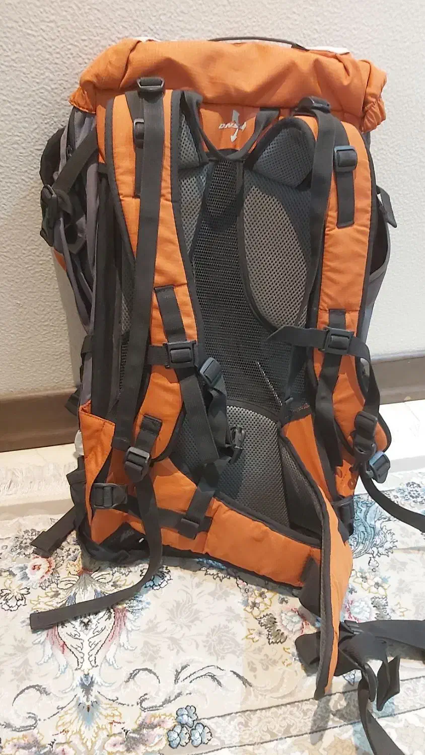 کوله پشتی فرینا ایسر ایتالیایی|کوهنوردی و کمپینگ|شاهین‌شهر, مخابرات (شهید بهشتی)|دیوار