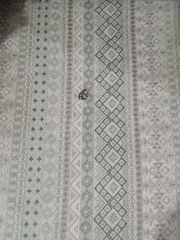 روفرشی دو رو|روفرشی|تهران, جوادیه تهرانپارس|دیوار