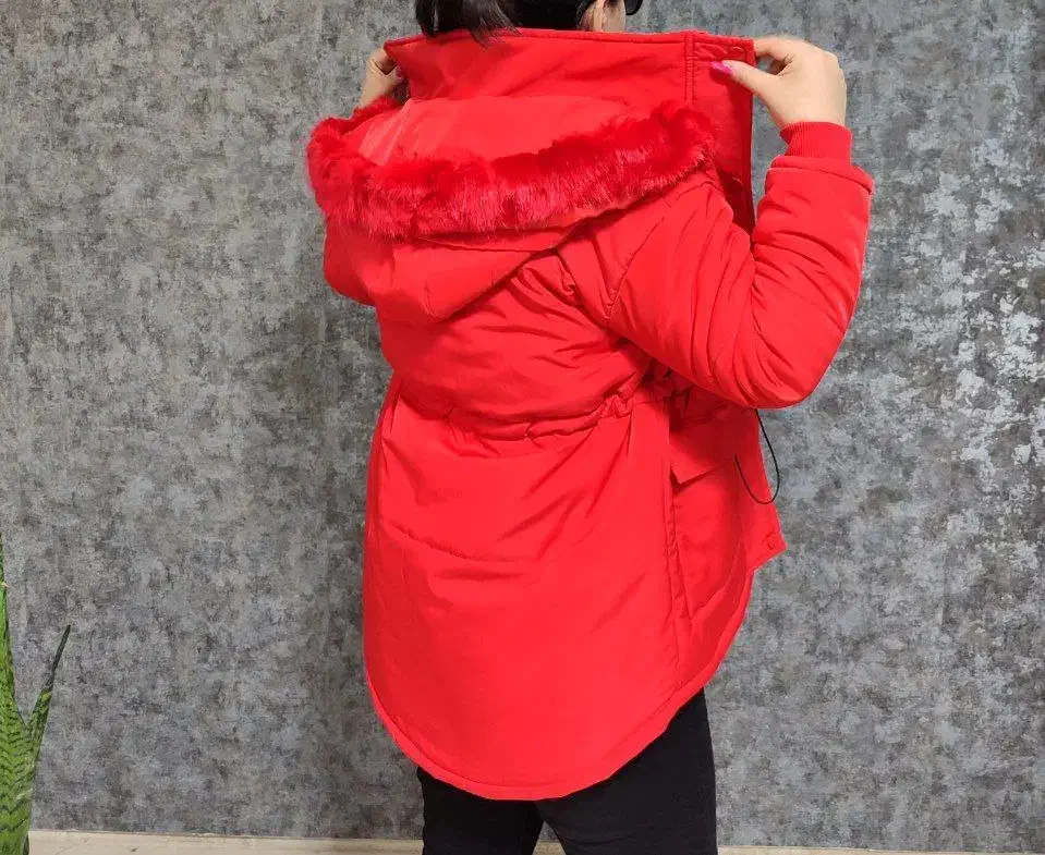 کاپشن|لباس|تاکستان, |دیوار