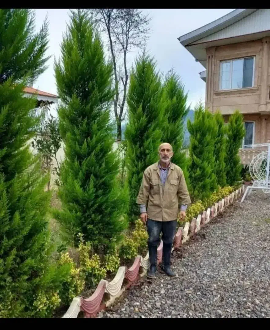 خدمات باغبانی گلکاری هرس کاری تعویض خاک گلدان|خدمات باغبانی و درختکاری|تهران, یوسف‌آباد|دیوار