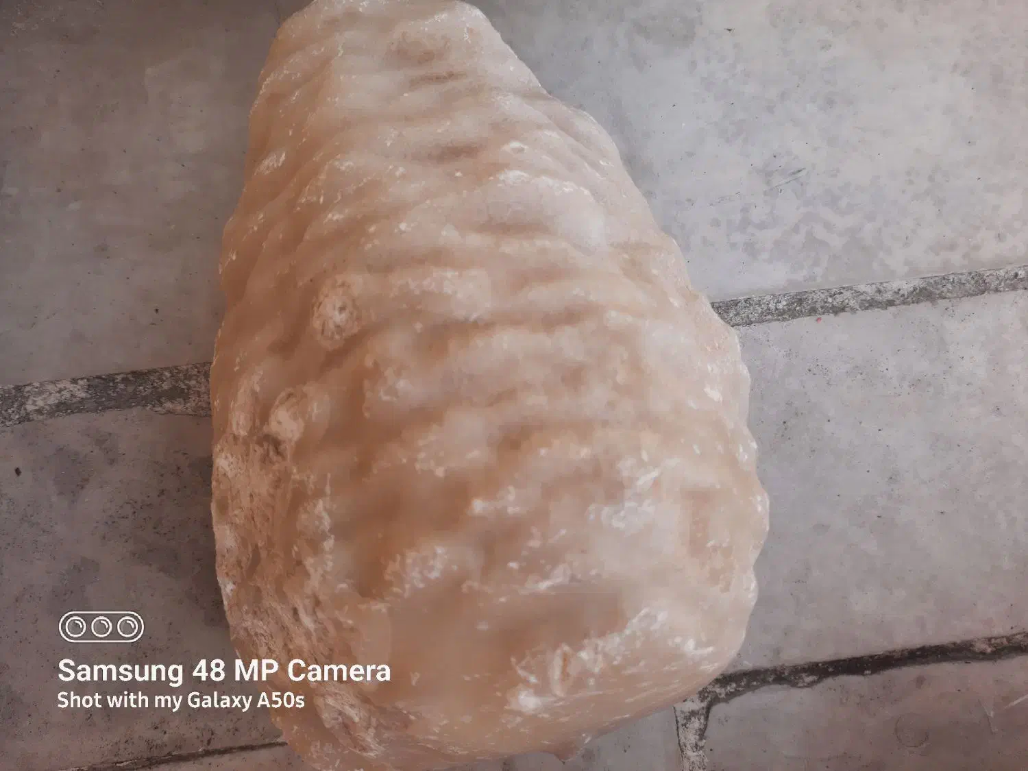 سنگ طبیعی آکواریوم|ماهی|کرج, کوی امامیه|دیوار