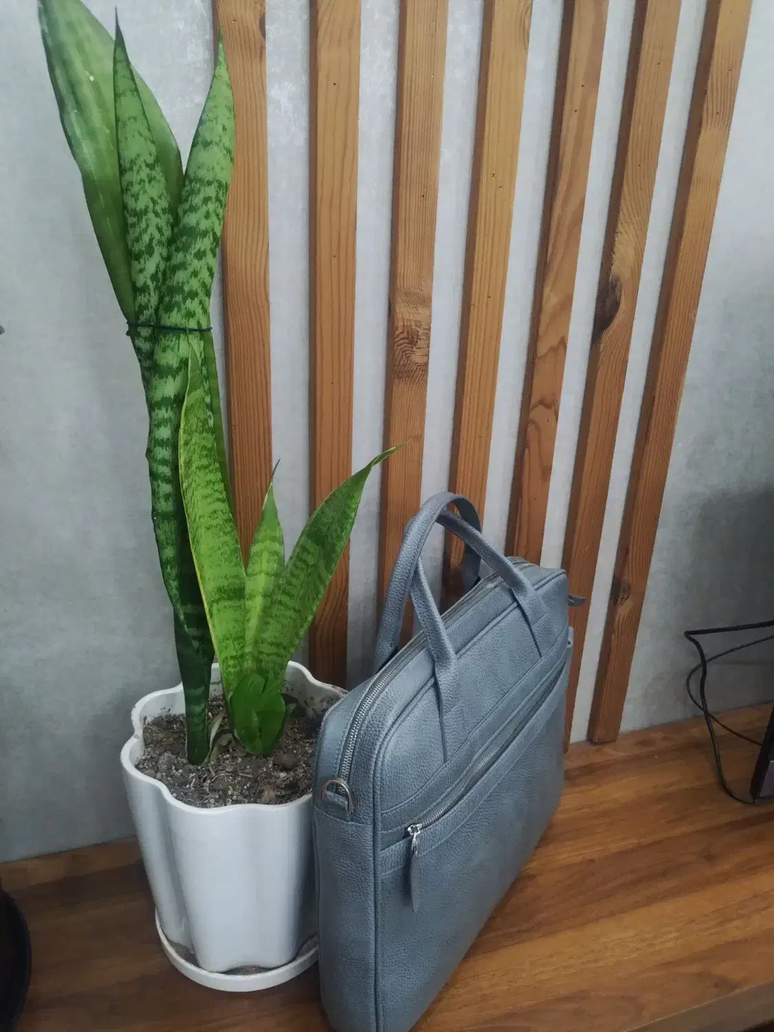 کیف چرم|کیف، کفش، کمربند|قم, بنیاد|دیوار