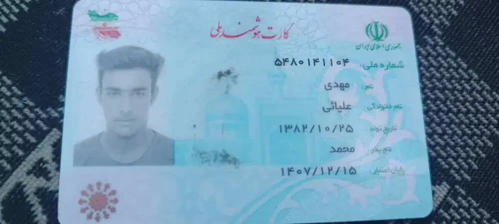 مدارک گمشده کارت ملی. مهدی علیایی|اشیا|کربال, |دیوار