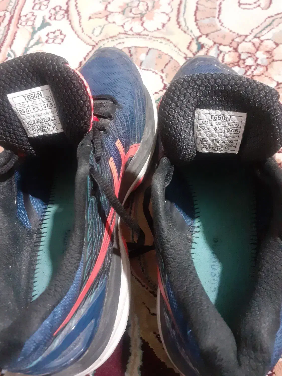 کفش|کیف، کفش، کمربند|اردبیل, |دیوار