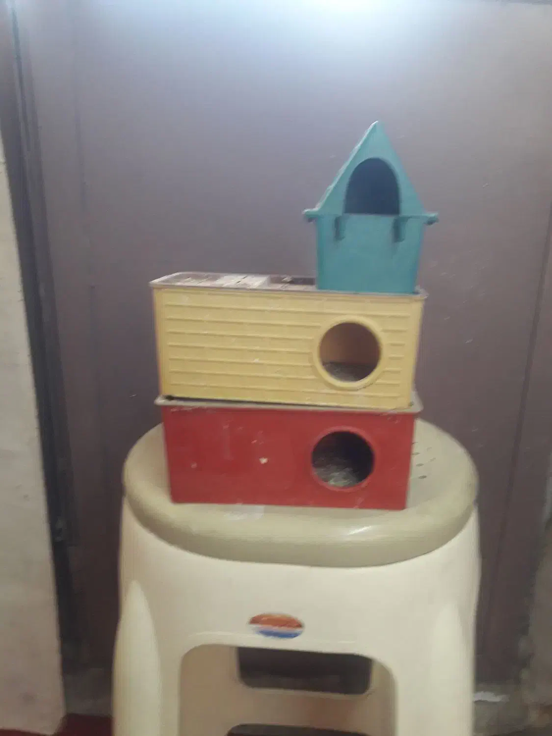 جاه تخمی پرنده مرغ عشق وفنج  ۳ عدد|لوازم جانبی حیوانات|تهران, مختاری|دیوار