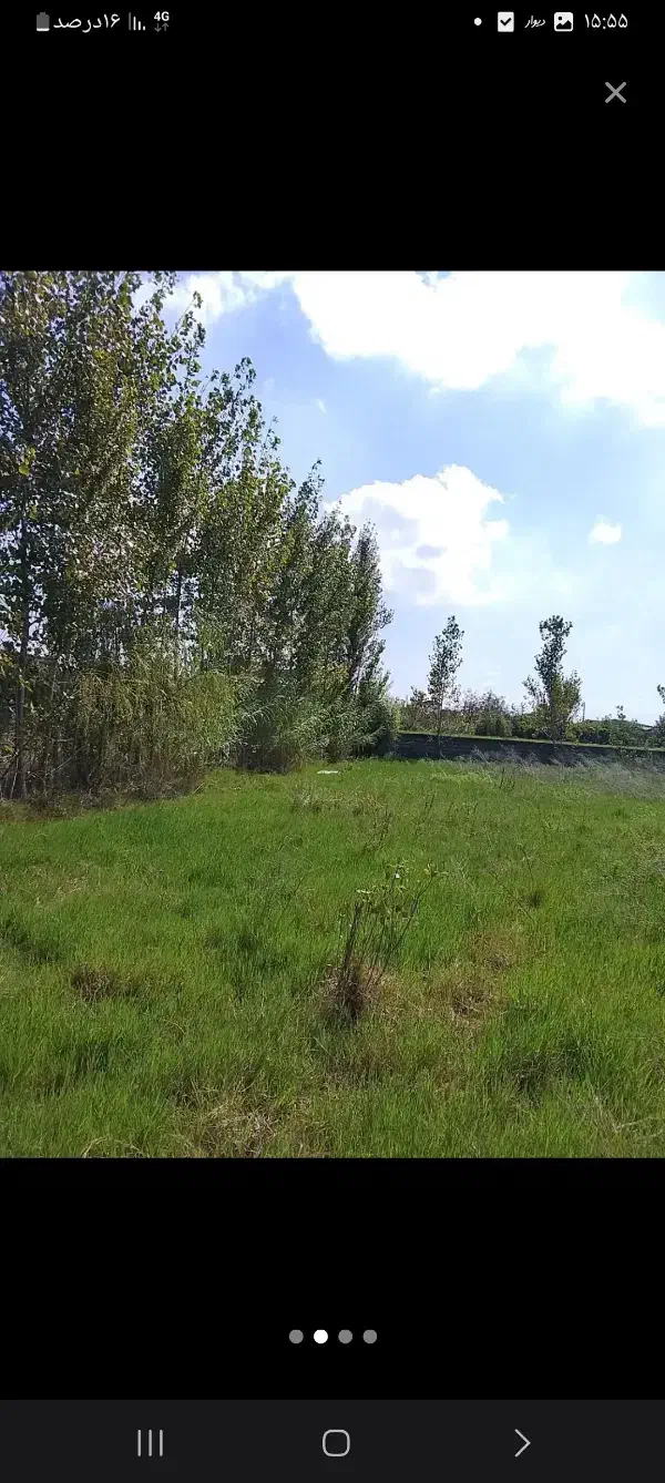 فروش زمین 4000 متری/سنددار|فروش زمین و ملک کلنگی|دابودشت, |دیوار