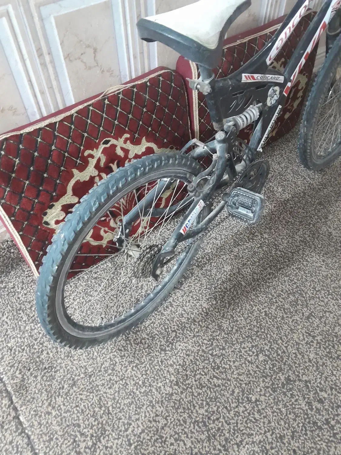 دوچرخه ویوا ۲۴|دوچرخه، اسکیت، اسکوتر|آبادان, |دیوار