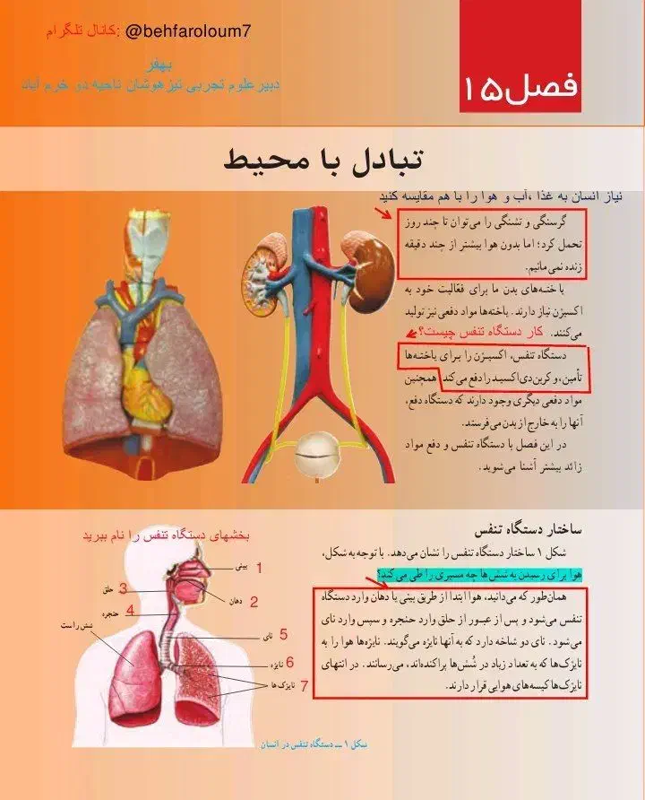 تدریس علوم دبیرستان دوره اول با دبیر با سابقه|خدمات آموزشی|دزفول, |دیوار