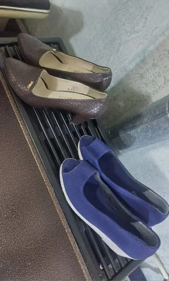 صندل|کیف، کفش، کمربند|بوشهر, |دیوار