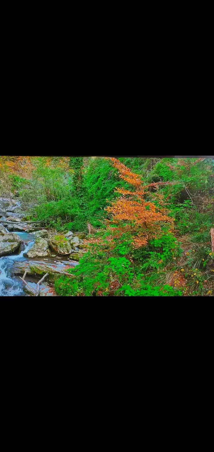 تلویزیون LCDالجی ۳۲|تلویزیون و پروژکتور|یزد, |دیوار