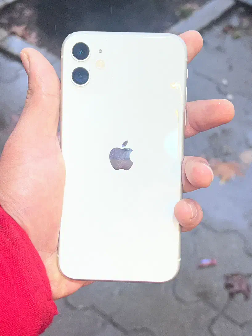 ایفون ۱۱ نرمال باطری ۱۰۰|موبایل|لاهیجان, قیام|دیوار