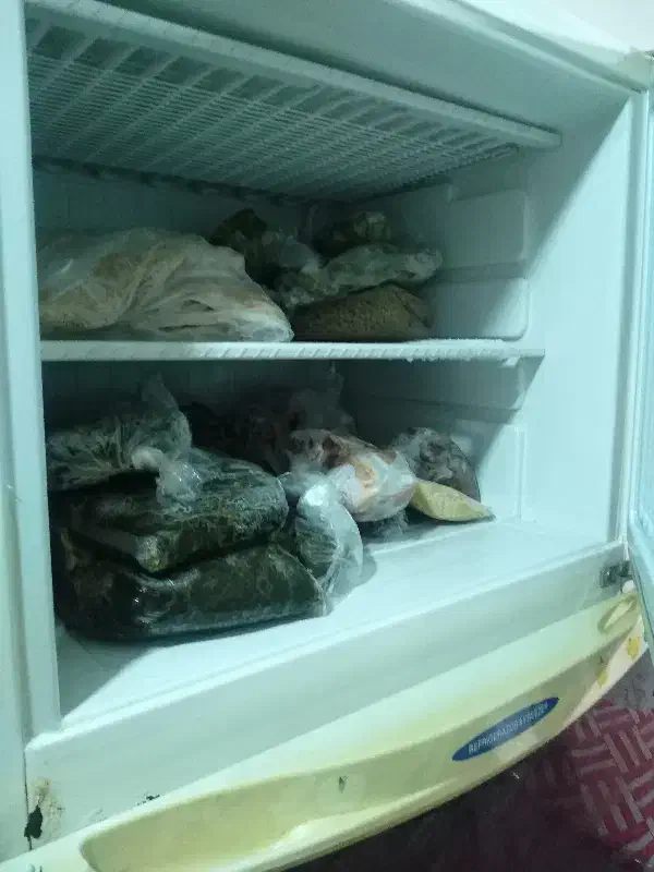 یخچال البرز|یخچال و فریزر|ایذه, |دیوار