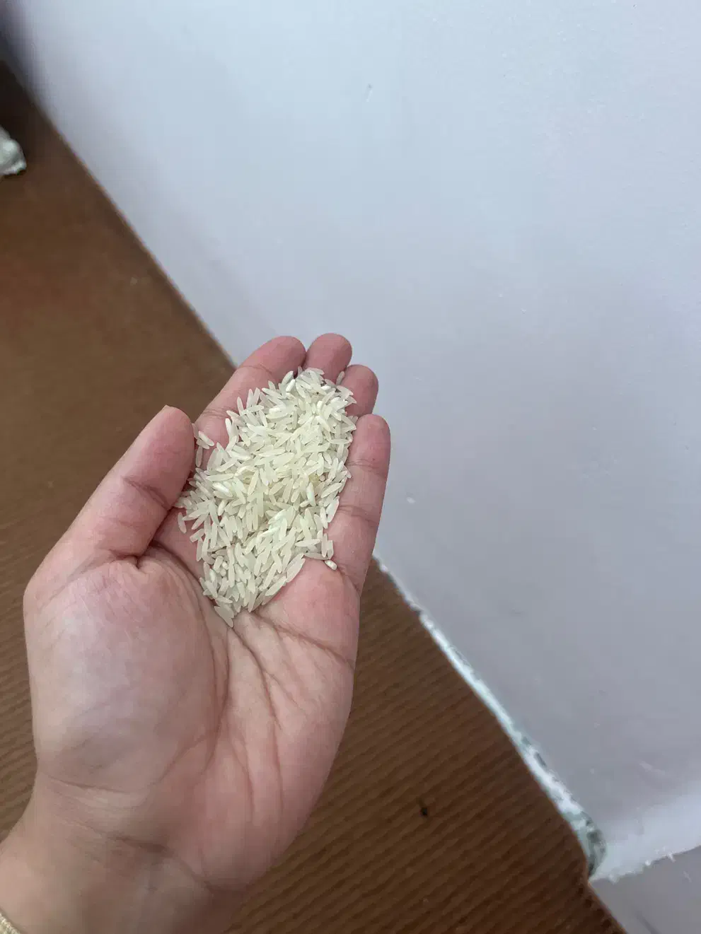 برنج فجر سوزنی|خوردنی و آشامیدنی|گرگان, |دیوار