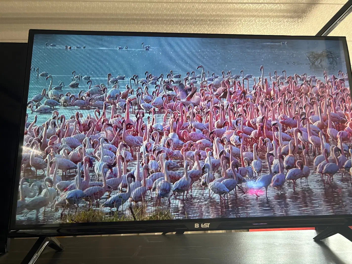 تلوزیون با ابعاد ۲۶ تا ۴۹ مخصوص (دوربین و باغ)|تلویزیون و پروژکتور|اصفهان, خلجا|دیوار