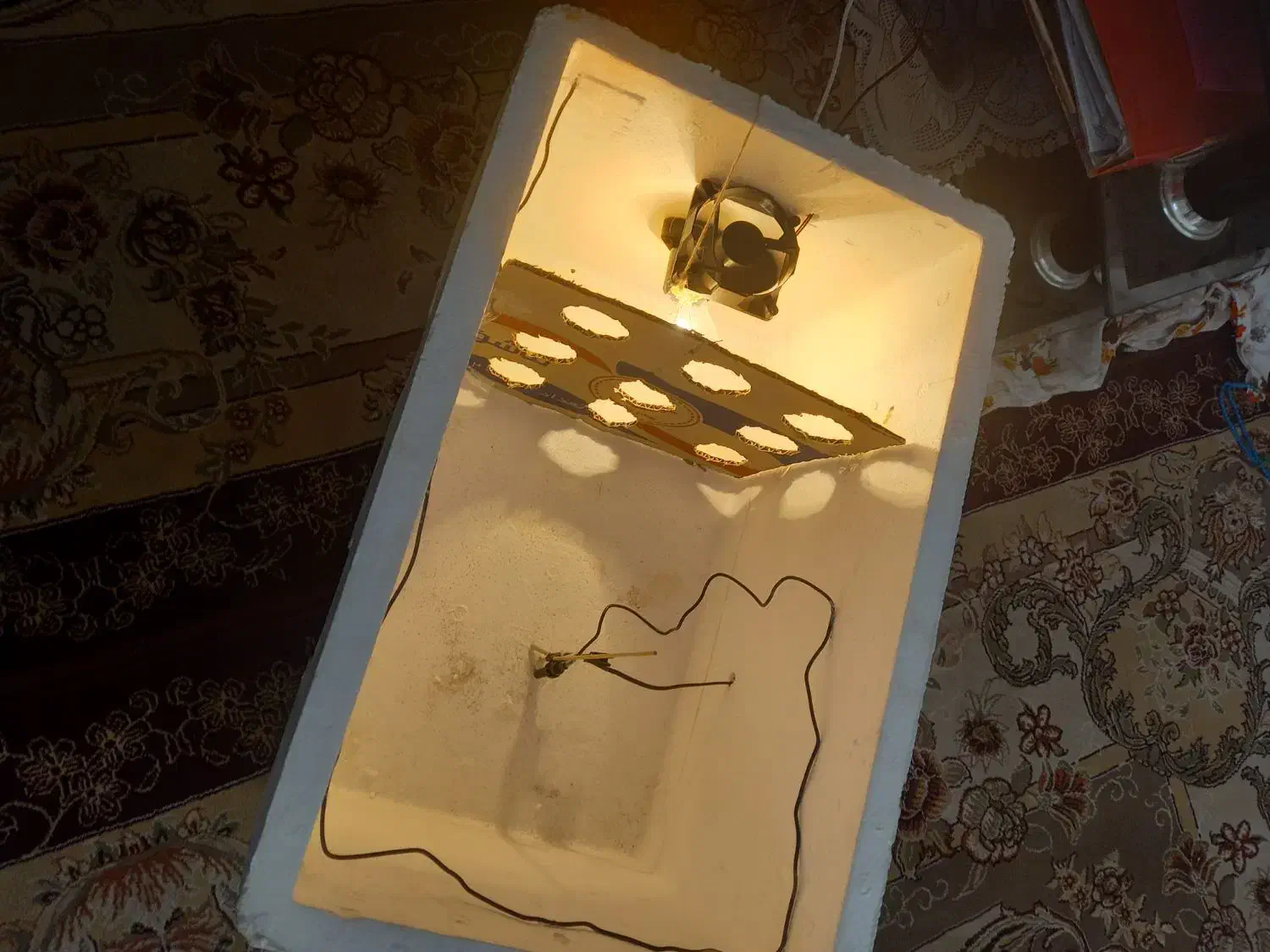 گاز دستگاه جوجه کشی به همراه جوجه|اجاق گاز و لوازم برقی پختوپز|کاشان, باهنر|دیوار